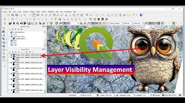 QGIS for Beginners: Hide Multiple Layers At Once | Manage Layer Visibility in QGIS