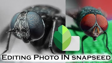 Editing Macro Photos on Snapseed Professionally | Editing Tutorials | Mobile Editing