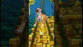 Tiger Attack Me