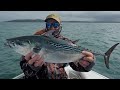 Port Stephens Mac Tuna great fun