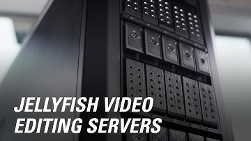 The Jellyfish Collaborative Editing Server Lineup