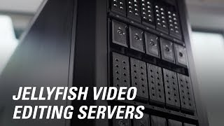 The Jellyfish Collaborative Editing Server Lineup