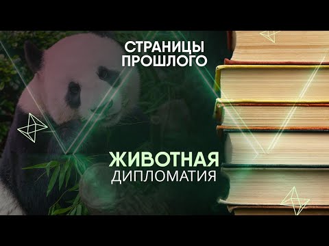 Животная дипломатия: как Китай решает свои внешнеполитические вопросы с помощью панд?