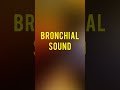 Bronchial sound shorts