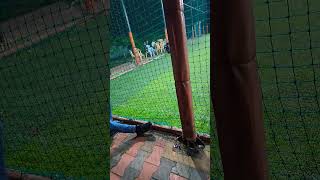 Turf #kgmusic #smartphone #viral #gadchandur #ai #jiwati #its_gadchandur #shorts #short #turf #safe