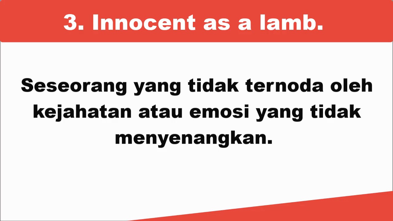10 Idiom Bahasa Inggris yang menggunakan nama Hewan - YouTube