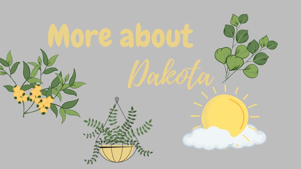 More about Dakota YouTube