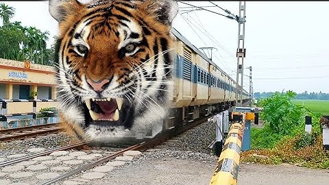 FAST & FURIOUS TIGER Headed MEMU Train Dangerous Moving Throughout At Railgate
