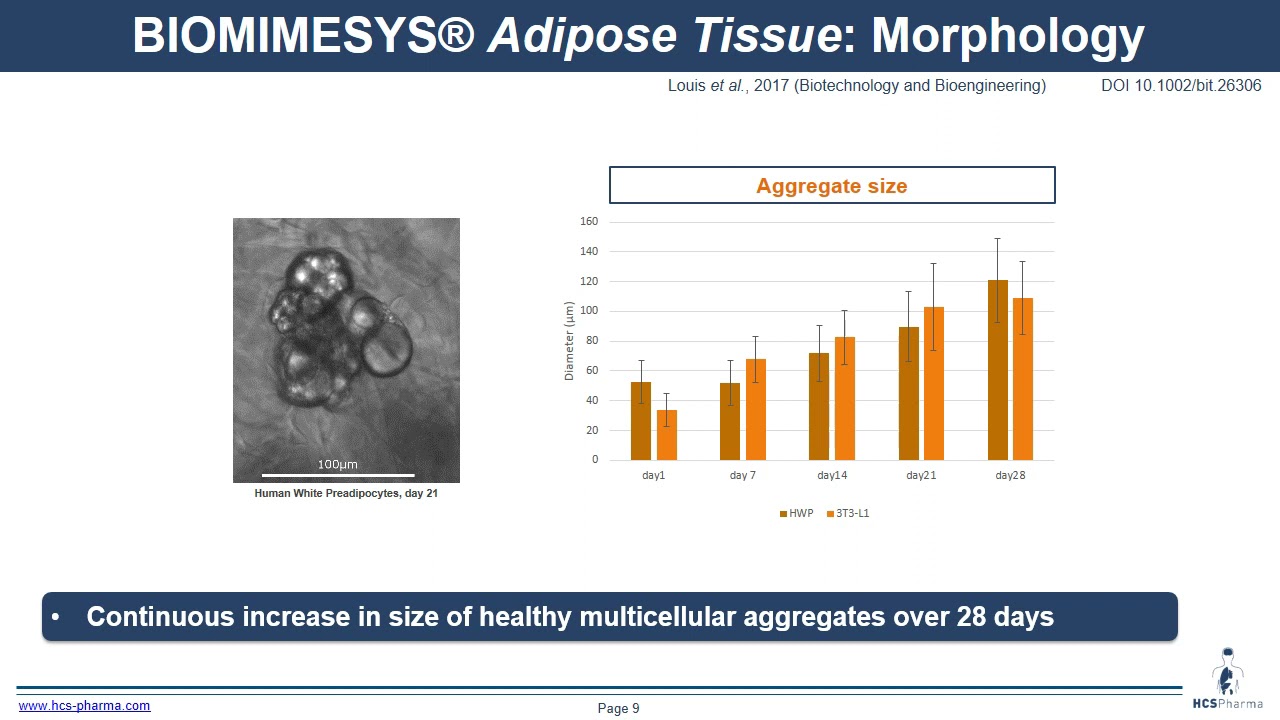 Applications for 3D in vitro models with BIOMIMESYS® Adipose Tissue and preview of BIOMIMESYS® Skin