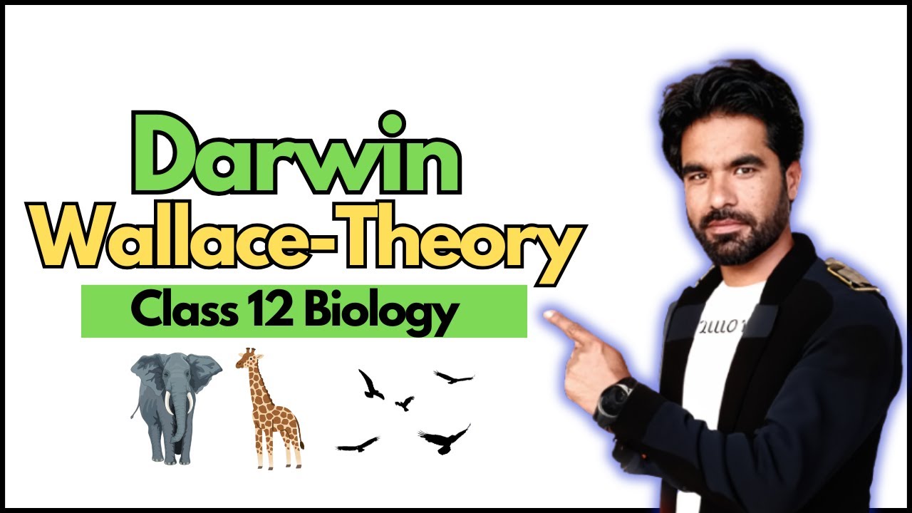 Unlocking Evolution: Darwin-Wallace Theory Explained