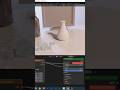 Differenze fra Color e Fac nei Nodi #texture in #blender #shaders #tutorial #3d #3dmodeling