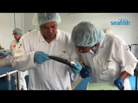 Video: How To Determine The Quality Of Meat And Fish