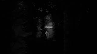 Dan  Shay Justin Bieber  10000 Hours  S  Aesthetic  Whatsapp Status  Edit  Slowed