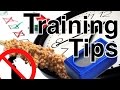 Training Tips | Topics