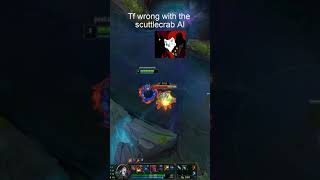 Typical Scuttle Crab Experience