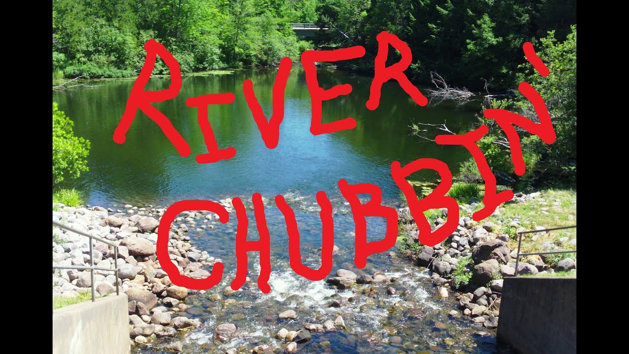 Oconto River Chubbin'