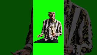 Sharp Sharpie 'No, You're Not!' meme - Green Screen Sharp Sharpie 'No, You're Not!' meme - Green Screen