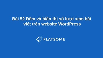 Bài 52 Đếm và hiển thị số lượt xem bài viết trên website WordPress