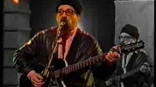 Elvis Costello - When I Was Cruel