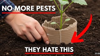 7 Amish Secrets That DESTROY Garden Pests Forever