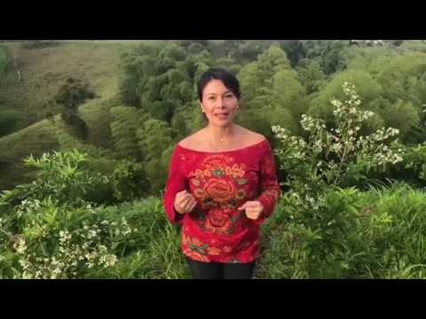 Curso 024 - Una ruta de solución - AMI ECHEVERRY