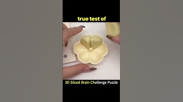 Only Geniuses Can Solve the 3D Sliced Brain Puzzle!