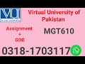 MGT610 Assignment Solution | VU Fall 2024 | StudyStore4