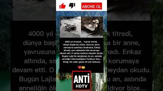 4000 Yıl Önce Enkaz Altında Yavrusuna Sarılan Anne… O Sarılış Hâlâ Konuşuyor 🥹❤️