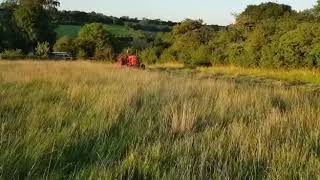 Nuffield 342 & B23 Finger Mower