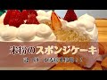 米粉のスポンジケーキ○乳製品・卵・小麦粉不使用○グルテンフリー○プラントベース