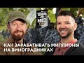 Бизнес на игристом: владелец Абрау-Дюрсо прокачивает убыточную семейную винодельню