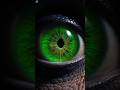 “Are Aliens About to Become Official? The U.S. Government’s Strange Move” United States #trump #nyc