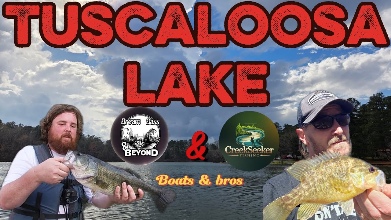 Tuscaloosa lake with a collab #bassfishing #fish #fishing #bass