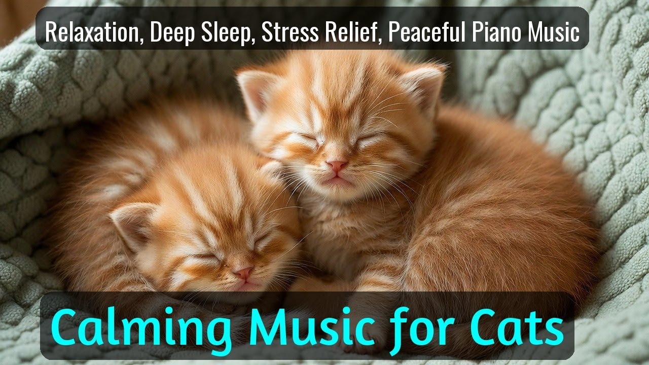 Calming Music for Cats - Relaxation, Deep Sleep, Stress Relief, Peaceful Piano Music | Season 56