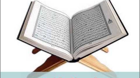 من سورة النمل 191015 // على سليم