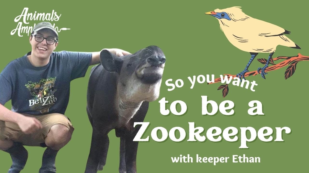So You Want to Be a Zookeeper - Featuring New Keeper Ethan