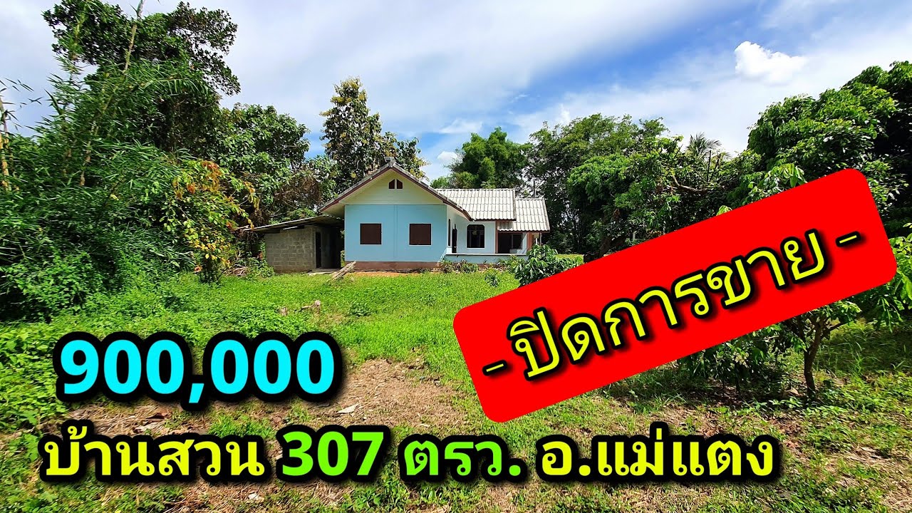 ❌️(ขายแล้ว)!🚩900,000 ที่ดินแถมบ้าน บ้านสวน 307 ตรว. (2900/ตรว) ต.แม่หอพระ อ.แม่แตง