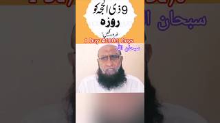 9 Days, 1000 Rewards: Dhul Hijjah Fasting Guide 🌙" #muslimvoice2 #sunnah #dhulhajj #shorts