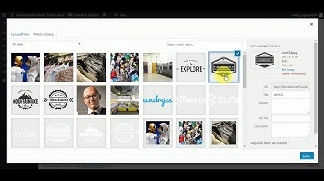 How to change Logo & Loader Settings