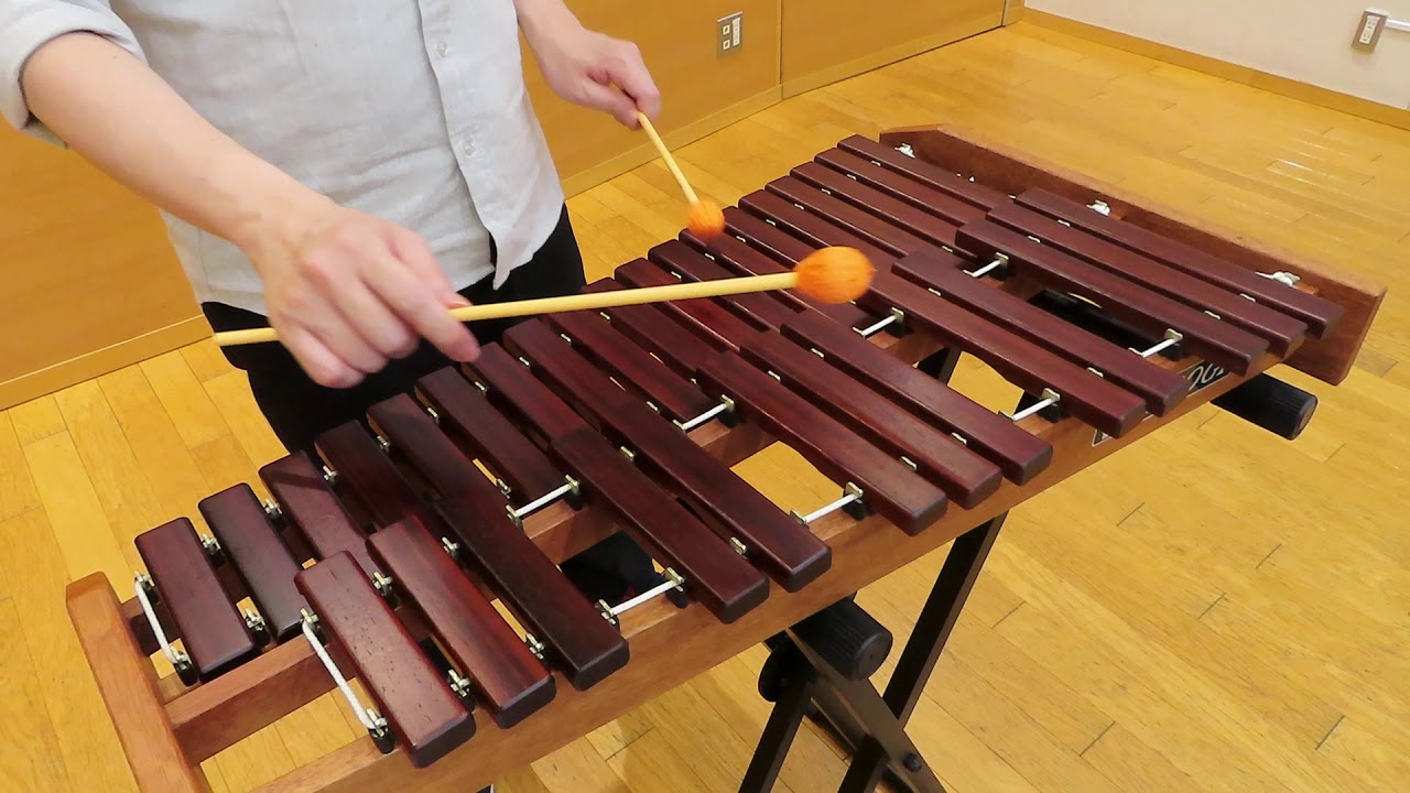 送料無料】ゼンオン 教育用木琴 30音 バチ付 ゼンオン 木琴 No181 卓上