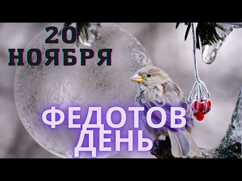 Приметы и традиции дня/20 ноября ФЕДОТОВ ДЕНЬ: что категорически запрещено делать в этот день
