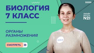 Органы размножения. Видеоурок 33. Биология 7 класс