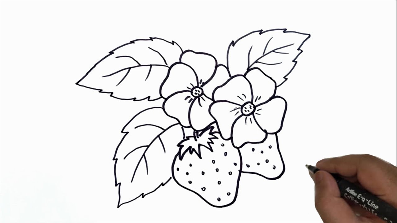 How to draw Strawberry With Flowers. YouTube