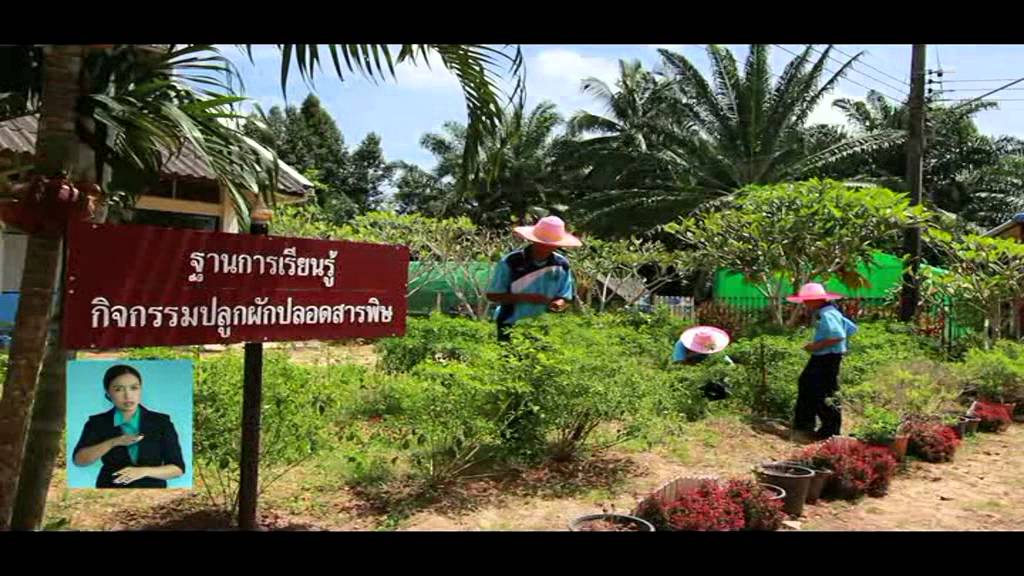 super child ชุมพรปัญญานุกูล