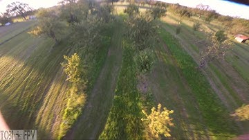 ImpulseRC Reverb Freestyle