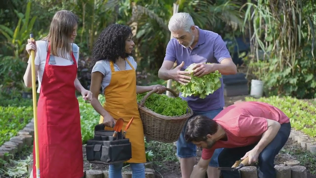 Gardening Tips for Beginners 