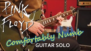 Pink Floyd / David Gilmour - Comfortably Numb (Solo) by Gaku