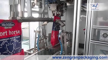 GFCK/25 Fully Automatic Granule Packaging Machinery—AnHui ZengRan