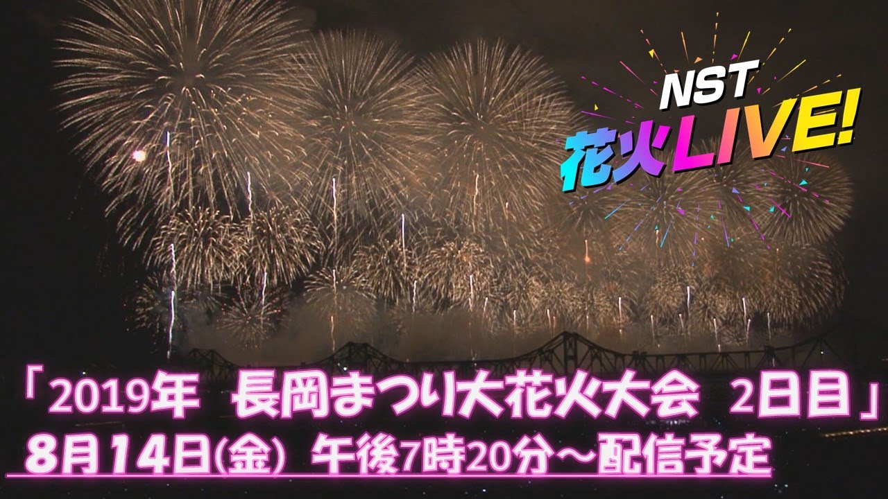 長岡 花火 テレビ 2019