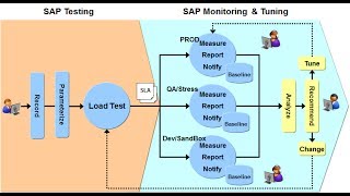 OZSOFT SWAT (SAP Workload Automation & Tuning) Service